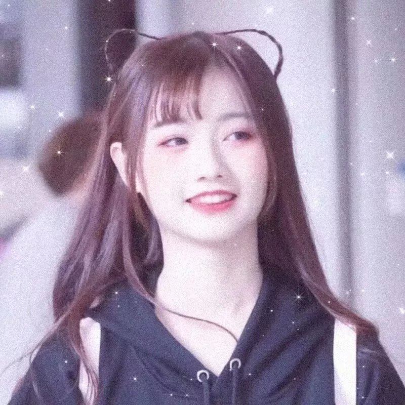 蔡李佛拳 海报